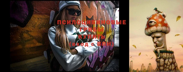 амфетамин Медвежьегорск