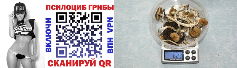 Псилоцибиновые грибы MAGIC MUSHROOMS  Грязовец 